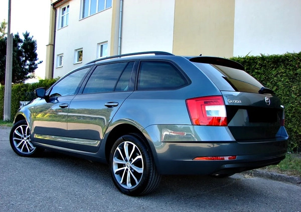 Skoda Octavia cena 54900 przebieg: 220000, rok produkcji 2019 z Elbląg małe 407